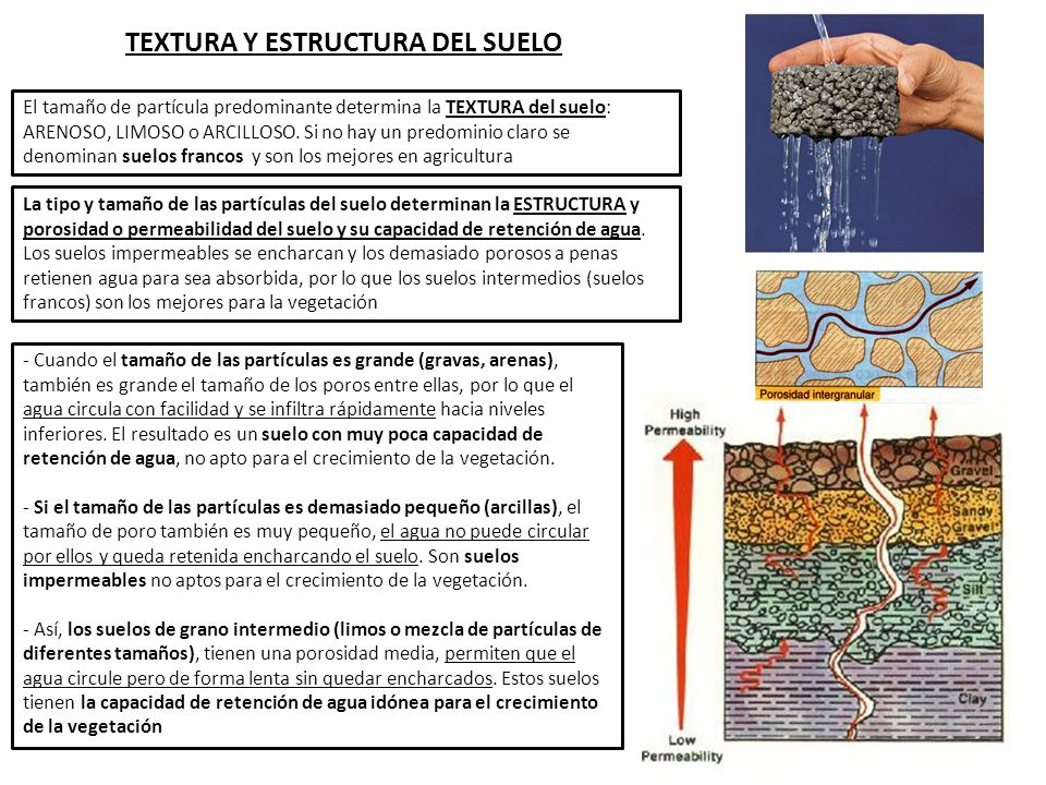 Que hacer si a ti pequeño el miembro